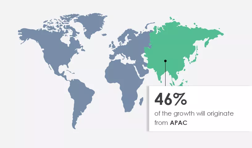 Rubber Market Share by Geography