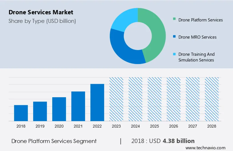 Drone Services Market Size