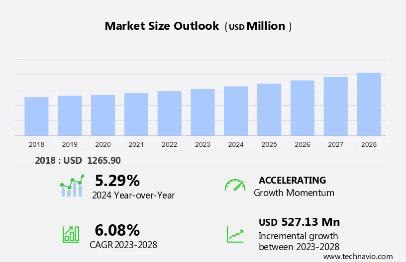 Reference Electrode Market Size