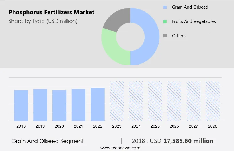 Phosphorus Fertilizers Market Size