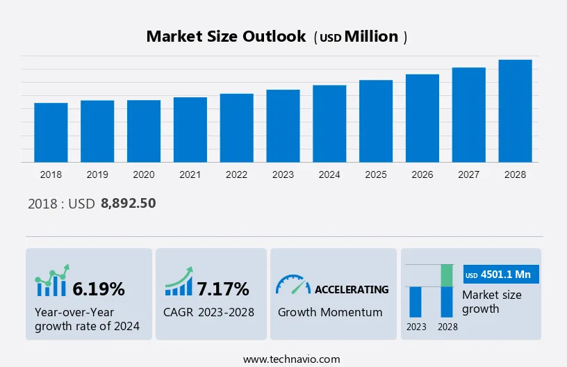 Pharmaceutical Excipients Market Size