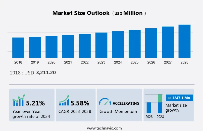 Surface Disinfectants Market Size