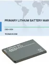 Primary Lithium Battery Market by Application and Geography - Forecast and Analysis 2020-2024