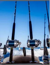 Sports Fishing Equipment Market Analysis North America, Europe, APAC, South America, Middle East and Africa - US, Canada, China, UK, Germany, Japan, India, France, Italy, The Netherlands - Size and Forecast 2025-2029