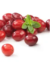 Fresh Cranberries Market Analysis North America, Europe, APAC, South America, Middle East and Africa - US, Germany, China, UK, Canada - Size and Forecast 2024-2028