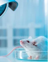 Animal Genetics Market Analysis North America, Europe, Asia, Rest of World (ROW) - US, Germany, UK, France, China - Size and Forecast 2024-2028