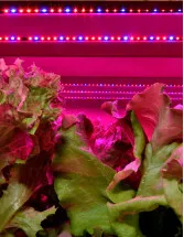 Light-Emitting Diode (LED) Grow Lights Market Analysis Europe, North America, APAC, South America, Middle East and Africa - US, Canada, The Netherlands, China, UK - Size and Forecast 2024-2028