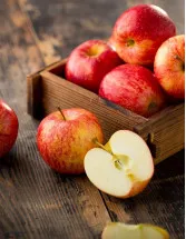 Apple Market Analysis APAC, Europe, Middle East and Africa, North America, South America - China, US, Turkey, India, Germany, UK, France, Brazil, Japan, Russia - Size and Forecast 2025-2029