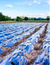Agricultural Films Market Analysis APAC, North America, Europe, South America, Middle East and Africa - China, India, US, Germany, Brazil - Size and Forecast 2024-2028
