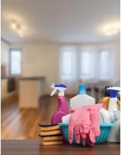 Sector Insight: household cleaning products