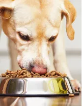 Pet Food Market Analysis North America, Europe, APAC, South America, Middle East and Africa - US, UK, Japan, Brazil, France - Size and Forecast 2024-2028