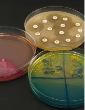 Microbiomes Market Analysis North America, Europe, Asia, Rest of World (ROW) - US, Germany, France, UK, Canada, Japan, China, India, South Korea, Italy - Size and Forecast 2025-2029