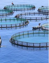 Aquaculture Market Analysis APAC, North America, Europe, South America, Middle East and Africa - China, India, Indonesia, Vietnam, Thailand, Norway, US, Brazil, Japan, Germany - Size and Forecast 2025-2029