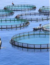 Aquaculture Market Analysis APAC, North America, Europe, South America, Middle East and Africa - China, India, Indonesia, Vietnam, Thailand - Size and Forecast 2024-2028