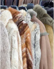 Faux Fur Market: Analysis of Present and Future Growth