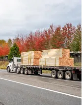 Timber Logistics Market Analysis APAC, Europe, North America, South America, Middle East and Africa - China, US, Germany, UK, Brazil, Japan, France, Italy, India, Indonesia - Size and Forecast 2025-2029