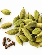 Cardamom Market Analysis APAC, Europe, Middle East and Africa, North America, South America - India, Saudi Arabia, US, Germany, United Arab Emirates - Size and Forecast 2024-2028