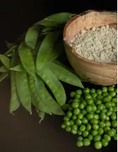 Pea Protein Market Analysis North America, Europe, APAC, Middle East and Africa, South America - US, UK, China, Germany, Japan - Size and Forecast 2024-2028
