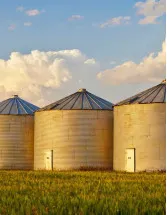 Grain Silos And Ancillary Equipment Market Analysis North America, Europe, APAC, South America, Middle East and Africa - US, Canada, Germany, UK, China, France, Italy, Japan, India, South Korea - Size and Forecast 2025-2029