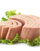 Canned Tuna Market Analysis Europe, North America, APAC, Middle East and Africa, South America - US, Spain, Germany, Japan, Canada - Size and Forecast 2024-2028