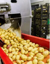 Processed Potatoes Market Analysis North America, Europe, APAC, South America, Middle East and Africa - US, UK, Japan, Germany, Canada - Size and Forecast 2024-2028