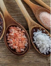 Salt Market Analysis APAC, North America, Europe, Middle East and Africa, South America - US, China, India, Germany, Japan - Size and Forecast 2024-2028