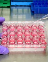 Cell Culture Market Analysis North America, Europe, Asia, Rest of World (ROW) - US, China, UK, Germany, Japan - Size and Forecast 2024-2028