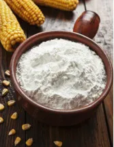 Modified Starch Market Analysis North America, APAC, Europe, South America, Middle East and Africa - US, China, Canada, Germany, UK - Size and Forecast 2024-2028