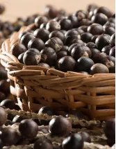 Acai Berry Products Market Analysis Europe,North America,South America,APAC,Middle East and Africa - US,Canada,Germany,France,Brazil - Size and Forecast 2024-2028