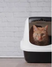 Automatic Self-cleaning Cat Litter Box Market Analysis North America, Europe, APAC, South America, Middle East and Africa - US, China, Germany, Canada, France - Size and Forecast 2024-2028