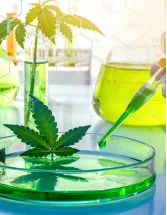 Cannabis Testing Market Analysis North America, Europe, Asia, Rest of World (ROW) - US, Canada, UK, Germany, China - Size and Forecast 2024-2028