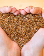 Flax Seeds Market Analysis APAC, North America, Europe, South America, Middle East and Africa - US, China, Canada, Germany, India - Size and Forecast 2024-2028