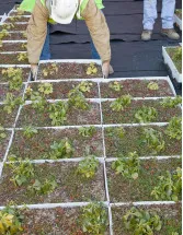 Green-Roofs Market Analysis Europe, North America, APAC, South America, Middle East and Africa - Germany, US, Japan, Canada, Singapore - Size and Forecast 2024-2028