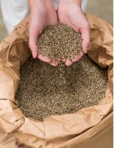 Industrial Hemp Market Analysis APAC, North America, Europe, South America, Middle East and Africa - US, China, Canada, Japan, Germany, UK, India, South Korea, France, Italy - Size and Forecast 2025-2029