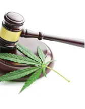 Legal Cannabis Market Analysis North America, Europe, APAC, South America, Middle East and Africa - US, Canada, Germany, UK, China, France, Italy, Japan, India, Australia - Size and Forecast 2025-2029