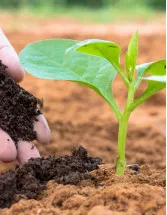 Organic Fertilizers Market Analysis Europe, APAC, North America, South America, Middle East and Africa - US, China, Germany, India, France - Size and Forecast 2024-2028