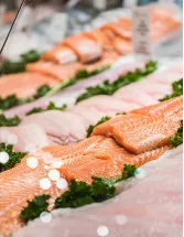 Frozen Fish And Seafood Market Analysis Europe, APAC, North America, South America, Middle East and Africa - US, France, Germany, China, Spain - Size and Forecast 2024-2028