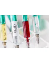 Rabies Treatment Market by Product, Application, Route of Administration, and Geography - Forecast and Analysis 2020-2024