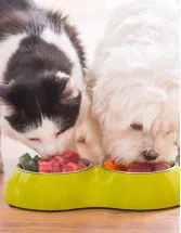 Organic Pet Food Market Analysis North America, Europe, APAC, South America, Middle East and Africa - US, Germany, China, UK, Japan - Size and Forecast 2024-2028
