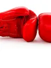 Boxing Equipment Market Analysis North America, Europe, APAC, South America, Middle East and Africa - US, Canada, China, Germany, UK - Size and Forecast 2024-2028