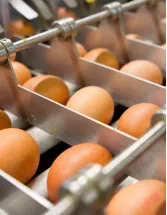 Egg Processing Equipment Market Analysis North America, Europe, APAC, South America, Middle East and Africa - US, China, France, Canada, Japan - Size and Forecast 2024-2028