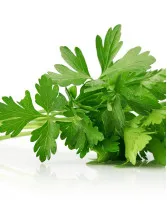 Parsley Market Analysis Europe, APAC, North America, Middle East and Africa, South America - US, Japan, Germany, The Netherlands, China - Size and Forecast 2024-2028