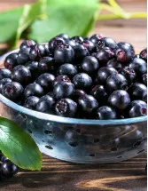 Aronia Berries Market Analysis Europe, North America, APAC, South America, Middle East and Africa - US, UK, Germany, China, Japan - Size and Forecast 2024-2028