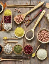 Legumes Market Analysis South America, North America, APAC, Europe, Middle East and Africa - US, Brazil, Argentina, China, Canada - Size and Forecast 2024-2028