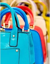 Ladies Handbag Market Trends, Size, Competitors, Demand and