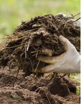 Biofertilizers Market Analysis North America, Europe, APAC, South America, Middle East and Africa - US, China, India, Spain, Italy - Size and Forecast 2024-2028