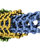 Carbon Nanotube Market Analysis APAC, North America, Europe, Middle East and Africa, South America - US, China, India, Germany, France - Size and Forecast 2024-2028