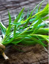 Tarragon Market Analysis Europe, North America, APAC, Middle East and Africa, South America - France, US, Germany, UK, Russia - Size and Forecast 2024-2028