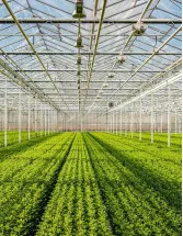 Indoor Farming Technologies Market Analysis Europe, APAC, North America, South America, Middle East and Africa - US, The Netherlands, Japan, China, Canada - Size and Forecast 2024-2028