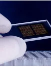 Microarray Market by Application and Geography - Forecast and Analysis 2021-2025